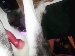 Thumb 18