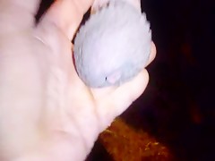 Thumb 17