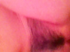 Vixen la condesa canina 2