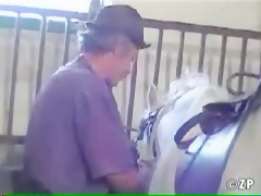 Flaca para el caballo