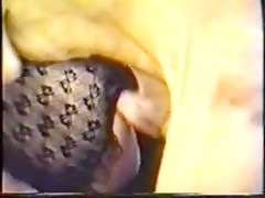 Thumb 6