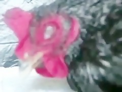 La revienta por detras