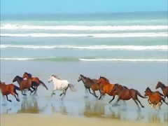 Trío de tetuda con la moños y un perro