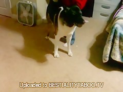 Sara, Clara y el can