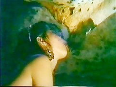 Tetorras para la mascota