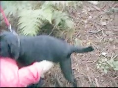 Huge black dog fucks her without mercy