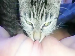 Cat nackt muschi