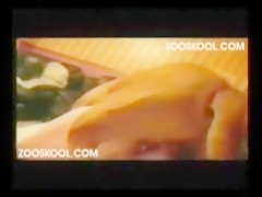 Acostandome con Harrie