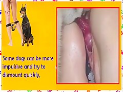 Dog Lovers Manual - English